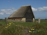 NL, Noord-Holland, Texel, De Hooge Berg 4, Saxifraga-Jan van der Straaten