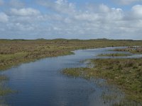 NL, Noord-Holland, Texel, De Muy 10, Saxifraga-Willem van Kruijsbergen