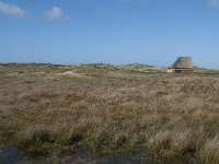 NL, Noord-Holland, Texel, De Muy 24, Saxifraga-Willem van Kruijsbergen