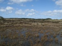 NL, Noord-Holland, Texel, De Muy 3, Saxifraga-Willem van Kruijsbergen