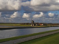 NL, Noord-Holland, Texel, De Noorden 1,  Saxifraga-Jan Nijendijk