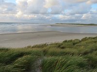 NL, Noord-Holland, Texel, De Slufter 43, Saxifraga-Mark Zekhuis