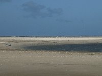 NL, Noord-Holland, Texel, De Slufter 61, Saxifraga-Willem van Kruijsbergen