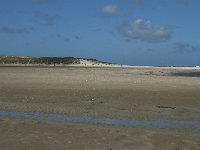 NL, Noord-Holland, Texel, De Slufter 62, Saxifraga-Willem van Kruijsbergen