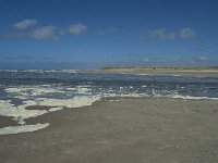 NL, Noord-Holland, Texel, De Slufter 74, Saxifraga-Willem van Kruijsbergen