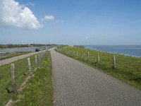 NL, Noord-Holland, Texel, Het Noorden 10, Saxifraga-Willem van Kruijsbergen