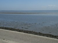 NL, Noord-Holland, Texel, Het Noorden 7, Saxifraga-Willem van Kruijsbergen