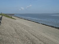 NL, Noord-Holland, Texel, Het Noorden 8, Saxifraga-Willem van Kruijsbergen