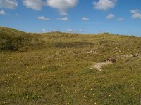 NL, Noord-Holland, Texel, Paal nine 3, Foto Fitis-Sytske Dijksen