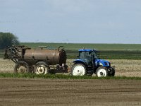 NL, Noord-Holland, Texel, Polder de Eendracht 2, Saxifraga-Jan van der Straaten