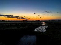 NL, Noord-Holland, Texel, Rommelpot 1, Saxifraga-Bart Vastenhouw