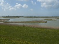 NL, Noord-Holland, Texel, Utopia 41, Saxifraga-Willem van Kruijsbergen