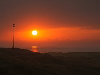 NL, Noord-Holland, Texel, Vuurtoren 9, Saxifraga-Bart Vastenhouw