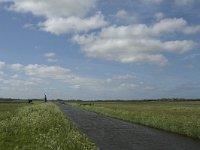 NL, Noord-Holland, Texel, Waal en Burg 8, Saxifraga-Jan van der Straaten