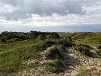 NL, Noord-Holland, Texel, duinen De Muy 1, Foto Fitis-Sytske Dijksen