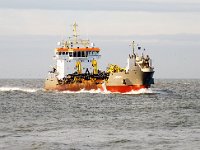 NL, Noord-Holland, Velsen, Zuidpier 11, Saxifraga-Bart Vastenhouw