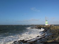 NL, Noord-Holland, Velsen, Zuidpier 12 Saxifraga-Bart Vastenhouw