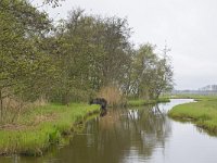 NL, Noord-Holland, Wormerland, Wormer- en Jisperveld 3, Saxifraga-Tom Heijnen