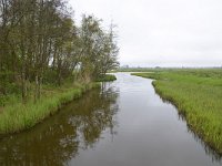 NL, Noord-Holland, Wormerland, Wormer- en Jisperveld 4, Saxifraga-Tom Heijnen