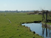 NL, Noord-Holland, Zaanstad, Polder Westzaan 2, Saxifraga-Jan van der Straaten