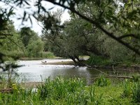 NL, Overijssel, Olst-Wijhe, Duursche Waarden 2, Saxifraga-Mark Zekhuis