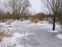 NL, Overijssel, Olst-Wijhe, Hengforderwaarden 2, Saxifraga-Mark Zekhuis