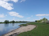 NL, Overijssel, Olst-Wijhe, IJsel 1, Saxifraga-Mark Zekhuis