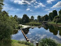 NL, Overijssel, Ommen, Archem 3, Saxifraga-Ab H Baas