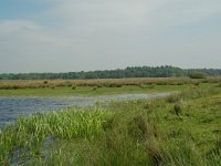 NL, Overijssel, Ommen, Junnerkoeland 29, Saxifraga-Willem van Kruijsbergen