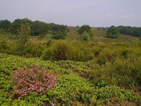 NL, Overijssel, Rijssen-Holten 4, Foto Fitis-Sytske Dijksen