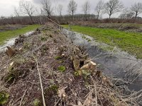 NL, Overijssel, Staphorst, Avereest 3, Saxifraga-Mark Zekhuis