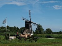 NL, Overijssel, Steenwijkerland, Weerribben 16, Saxifraga-Hans Dekker