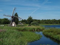 NL, Overijssel, Steenwijkerland, Weerribben 17, Saxifraga-Hans Dekker