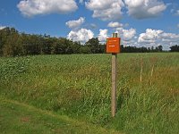 NL, Overijssel, Steenwijkerland, Weerribben 22, Saxifraga-Hans Dekker