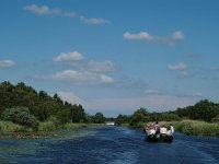 NL, Overijssel, Steenwijkerland, Weerribben 9, Saxifraga-Hans Dekker