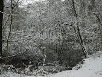 NL, Overijssel, Tubbergen, Spreng 1, Saxifraga-Ab H Baas