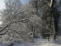 Springendal C0337 : Overijssel, Ootmarsum, Springendal