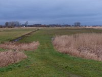 NL, Overijssel, Zwolle, Buitenlanden Langeholte 4, Saxifraga-Mark Zekhuis