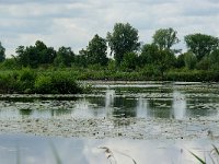 NL, Utrecht, Maarssen, Tienhoven 5, Foto Fitis-Sytske Dijksen