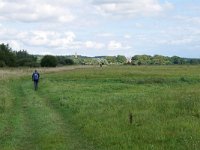 NL, Utrecht, Utrechtse Heuvelrug, Amerongse Bovenpolder 3, Saxifraga-Tom Heijnen