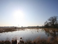 NL, Utrecht, Utrechtse Heuvelrug, Leersumse Veld 1, Saxifraga-Bart Vastenhouw