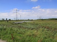 NL, Zeeland, Borsele, Weelhoek 1, Saxifraga-Peter Meininger