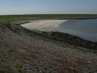 NL, Zeeland, Noord-Beveland, Oostnol 2, Saxifraga-Jan van der Straaten