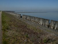 NL, Zeeland, Noord-Beveland, Westnol 1, Saxifraga-Jan van der Straaten