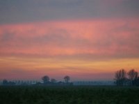 NL, Zeeland, Schouwen-Duiveland 3, Saxifraga-Tom Heijnen