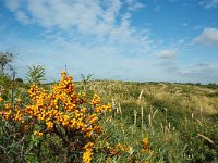 NL, Zeeland, Schouwen-Duiveland 4, Foto Fitis-Sytske Dijksen