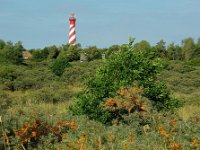 NL, Zeeland, Schouwen-Duiveland 7, Foto Fitis-Sytske Dijksen