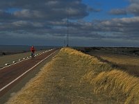 NL, Zeeland, Schouwen-Duiveland, Brouwersdam 3, Saxifraga-Jan van der Straaten