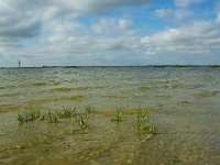 NL, Zeeland, Schouwen-Duiveland, Grevelingen 1, Foto Fitis-Sytske Dijksen