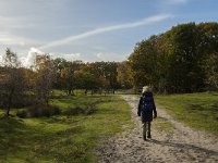 NL, Zeeland, Schouwen-Duiveland, Het Zeepe 12, Saxifraga-Jan van der Straaten